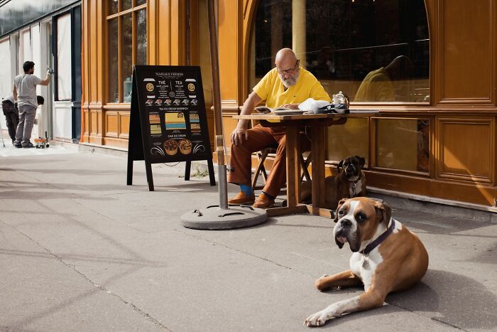 Candid street photo of a man reading at a cafe table with dogs resting nearby in a sunlit urban setting.