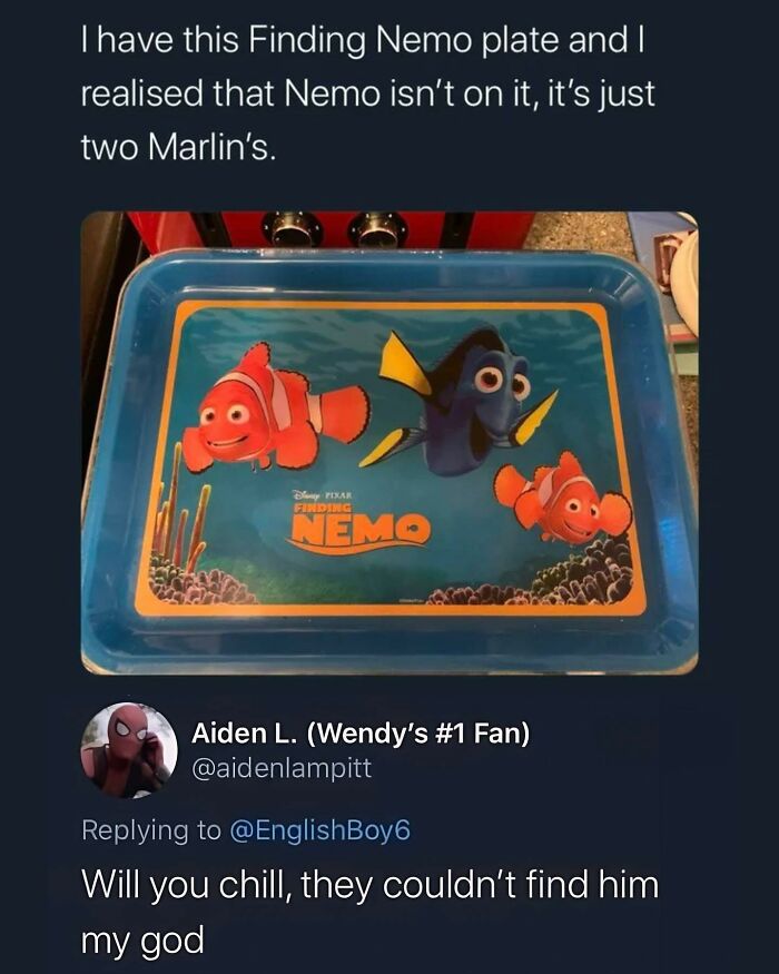 Finding Nemo plate showing two Marlin characters, highlighting a humorous detail shared in a social media group post.