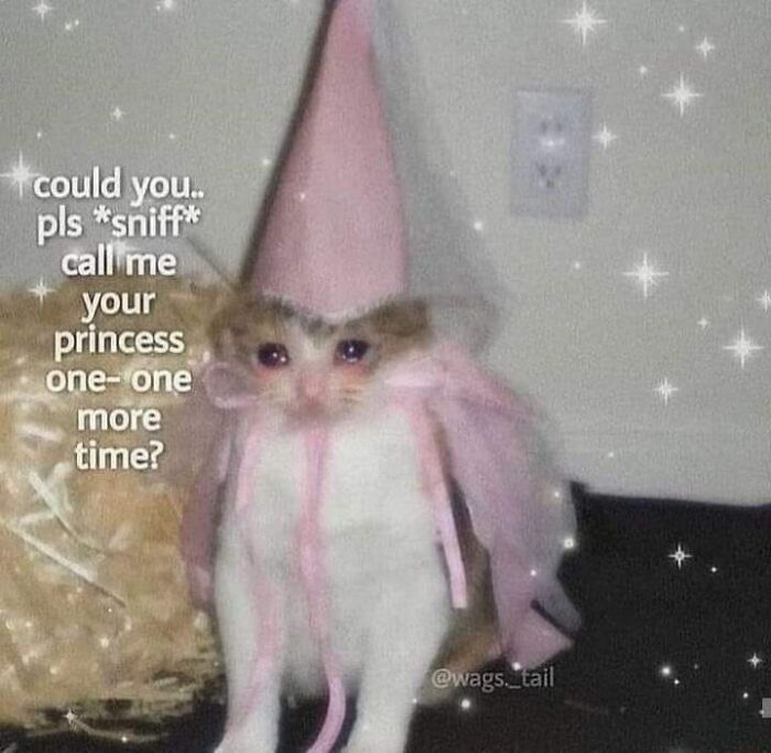 Sad cat wearing a pink princess hat with tears, a relatable meme expressing a longing to be called princess again.
