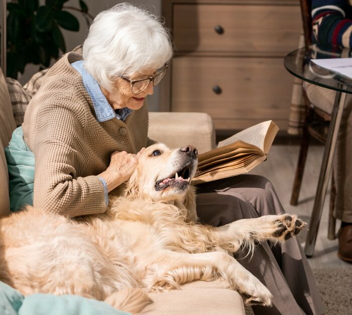 Elderly woman lying on sofa with golden retriever, showing commitment to a lie way too hard in a cozy home setting.