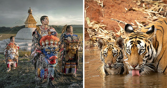 1839 Photography Awards: 25 Winning Color Shots Worth Seeing