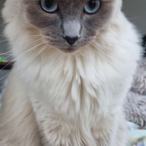 nikegreatnike avatar