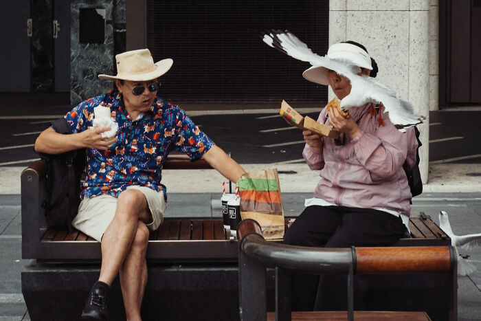 Two people on a bench share food while a seagull flies close in a candid street photo by Alex McClintock.