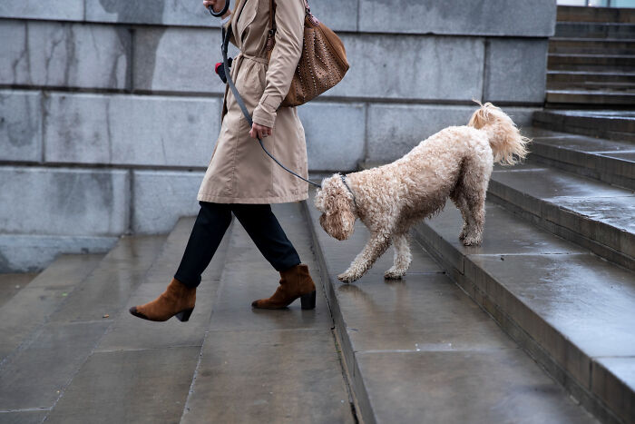 Person walking down wet steps with a dog on leash, focusing on nails and footwear in an urban setting.