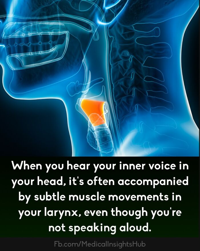 50 Cool And Interesting Medical Facts You Might Not Know About Your Own Body And Health