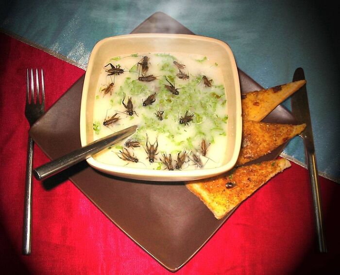 Bowl of soup with insects floating on top served with toasted bread on a dark plate in a cursed food picture.