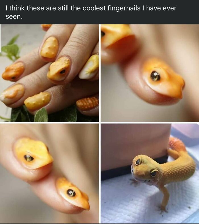 Creative DIY project featuring realistic gecko-inspired fingernail art resembling a live lizard on fingers.