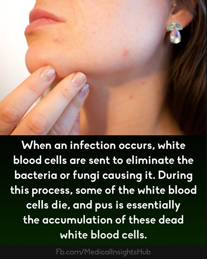 50 Cool And Interesting Medical Facts You Might Not Know About Your Own Body And Health