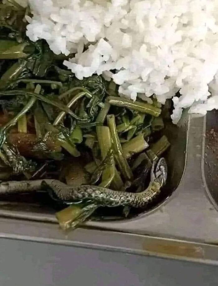 Close-up of cooked greens and rice with a snake tail mixed in, a cursed picture of food that might make you say eeeeeuw.