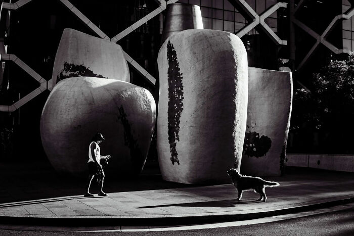 Man walking dog near large urban sculptures in a candid street photo capturing unique city life moments by Alex McClintock.