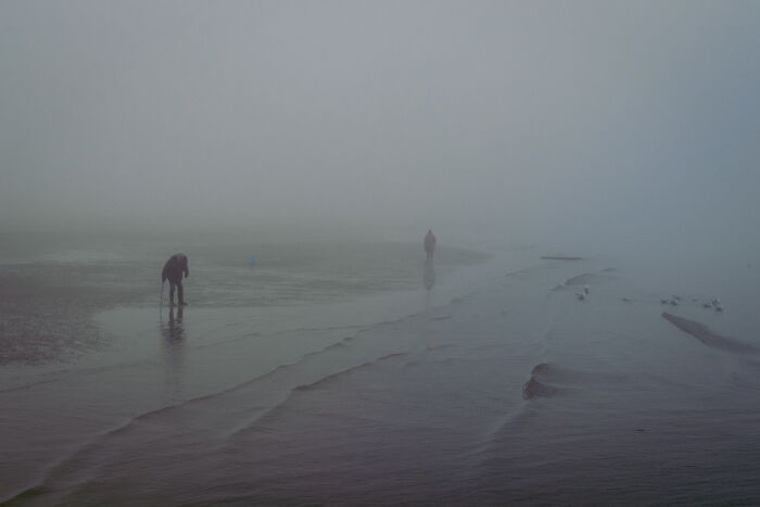 Foggy beach scene with two people and birds, capturing a perfectly-timed street photo by Luca Regoli.