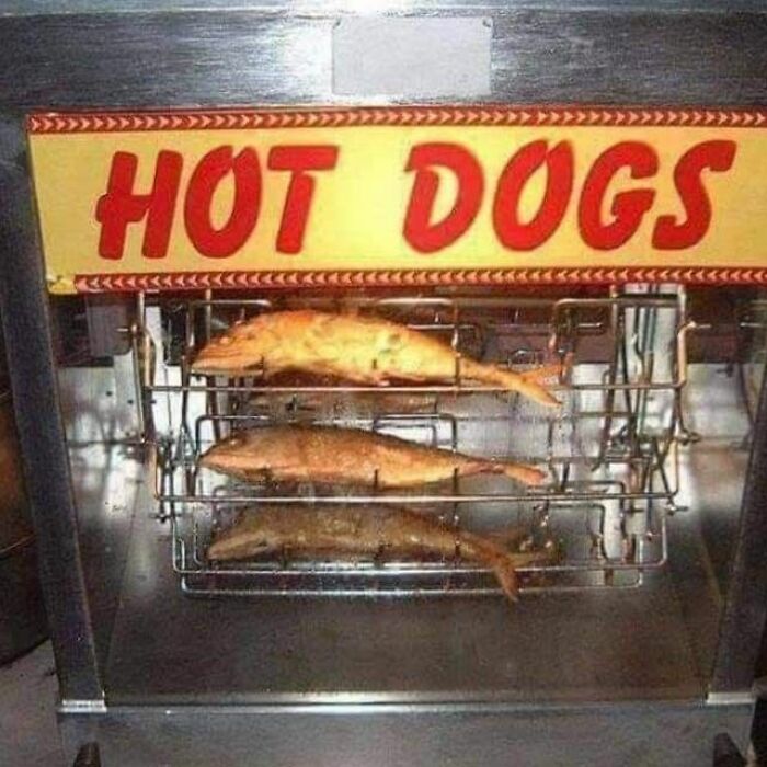 Rotisserie oven labeled hot dogs cooking whole fish instead, a cursed food picture that might make you go eeeeeuw.