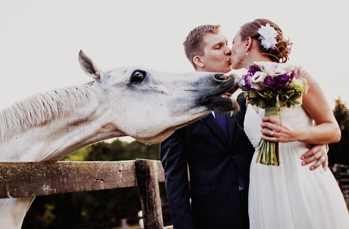 Bride and groom kissing outdoors while a playful horse approaches, one of the unforgettable wedding photos shared by the community.