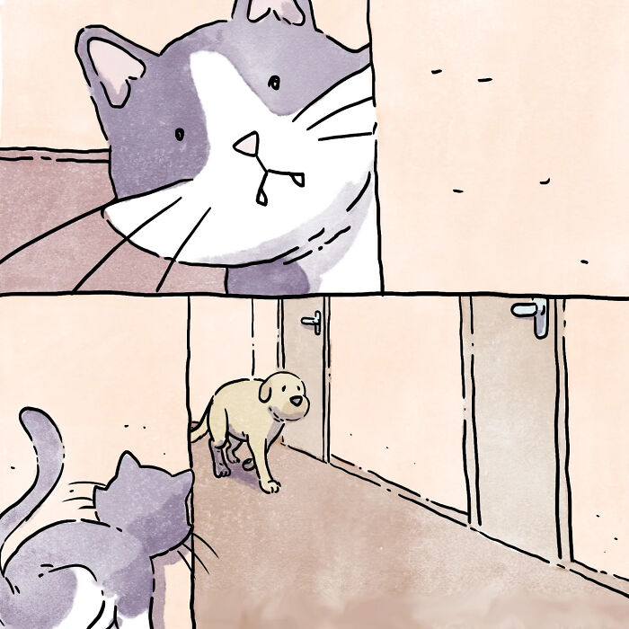 Illustration of a cat and dog in a wordless comic about life with a dog and a cat, showing their curious interaction.