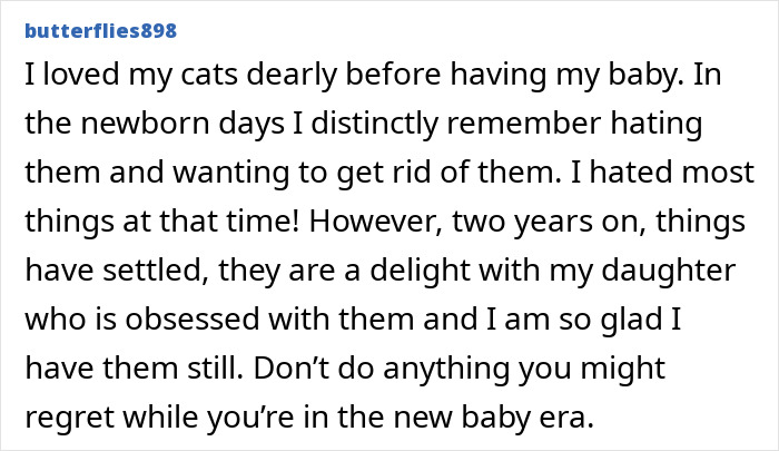 User sharing personal story about refusing to let rehome cat despite newborn challenges, describing changed feelings over time.