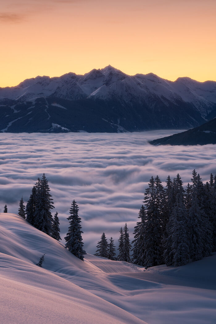 Snow-covered mountains and pine trees at sunrise above a sea of clouds in breathtaking travel photos.