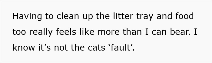 Person expressing frustration about cleaning a cat litter tray and food while refusing to let rehome cat.