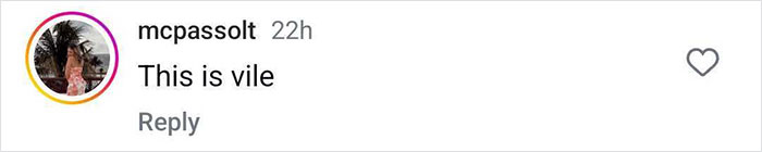 Screenshot of an Instagram comment reading this is vile in response to a plane passenger making a salad mid-flight. Screenshot of an Instagram comment reading this is vile in response to a plane passenger making a salad mid-flight.