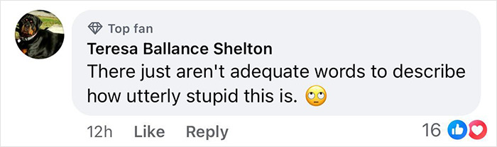 Comment from a social media user expressing disbelief and criticism regarding an Olympic star bragging about walking runway on her period. Comment from a social media user expressing disbelief and criticism regarding an Olympic star bragging about walking runway on her period.