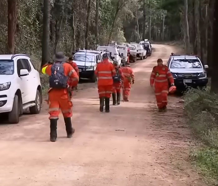 Search and rescue team in orange uniforms walking along forest road during human remains search for missing teenager. Search and rescue team in orange uniforms walking along forest road during human remains search for missing teenager.