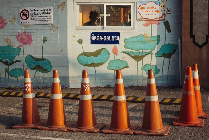 Orange traffic cones in front of a wall with floral murals in a candid street photo by Alex McClintock.