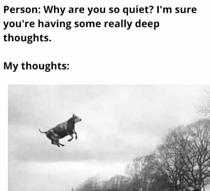 Person asks why so quiet, expecting deep thoughts, while meme shows a cow flying in the sky, funny work meme concept.
