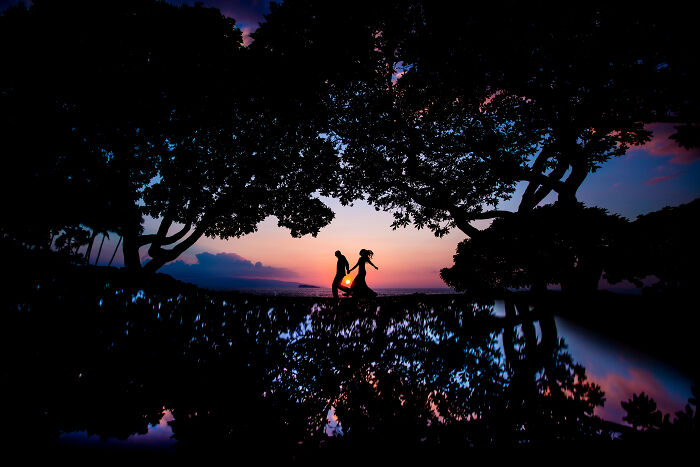 Silhouette of a couple holding hands at sunset surrounded by trees, an unforgettable wedding photo with reflection.
