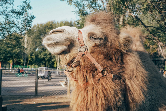 40 People Who Witnessed The Impossible, No One Believed Them, And They’ve Never Forgotten It