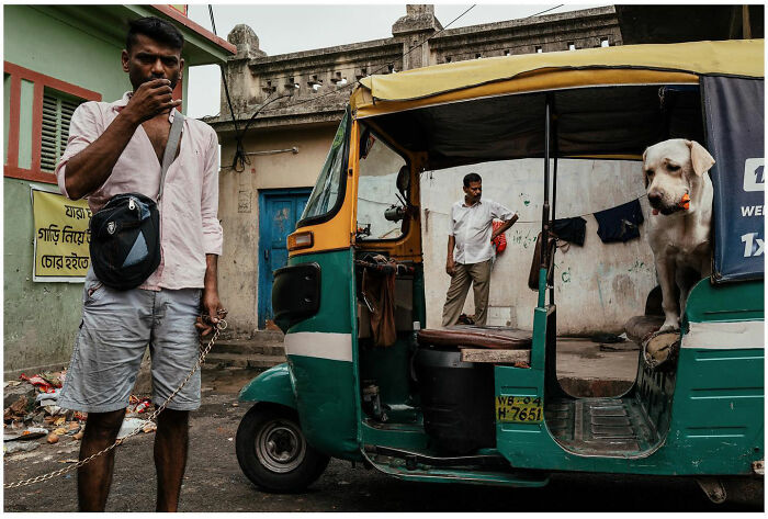 Young man holding a dog on a chain near an auto rickshaw with a dog sitting inside in raw street moment in Asia.