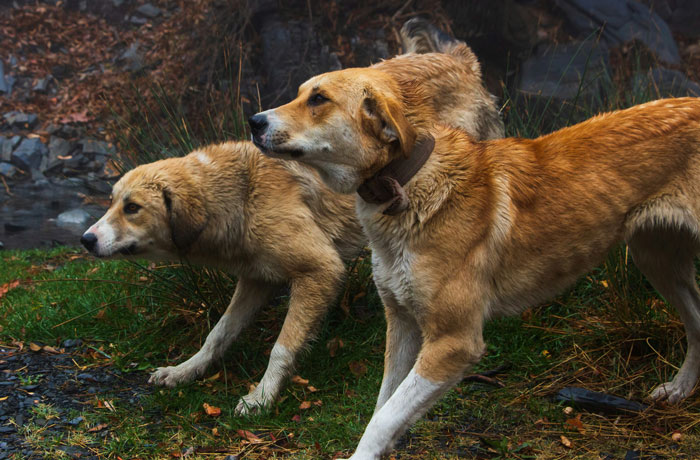 40 People Who Witnessed The Impossible, No One Believed Them, And They’ve Never Forgotten It