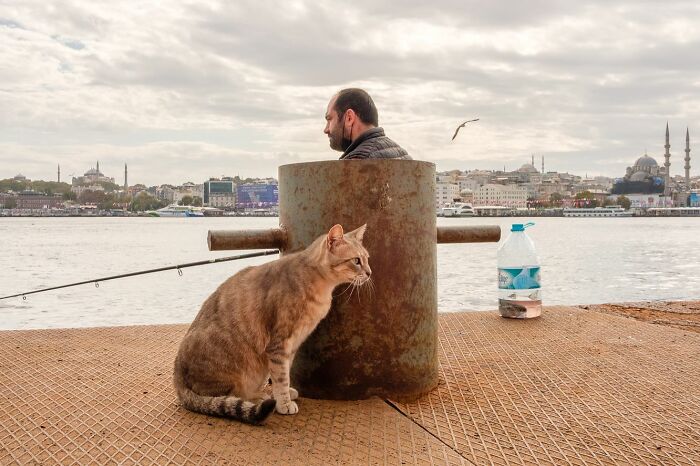Street photographer captures an unexpected scene with a cat and a man sitting by the waterfront in an urban setting.