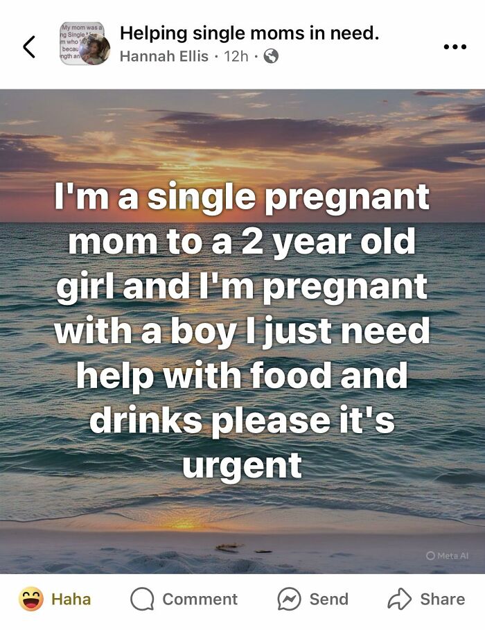 Single pregnant mom with a toddler urgently asking for help with food and drinks, highlighting entitled single moms need.