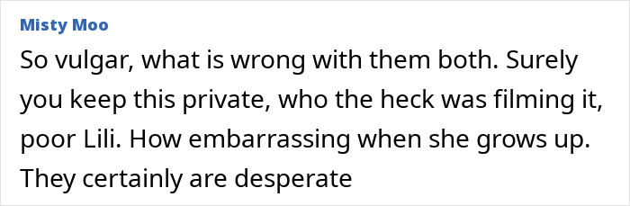 Screenshot of an online comment criticizing a video, mentioning vulgarity and privacy concerns related to Meghan Markle&rsquo;s pregnancy.