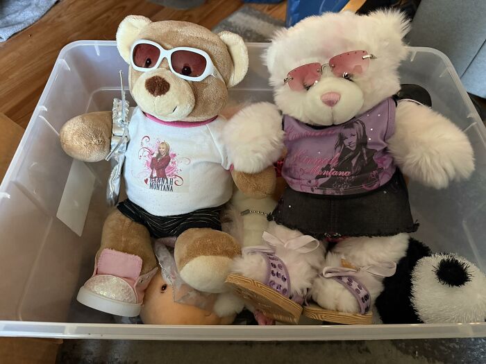 Two teddy bears wearing sunglasses and trendy clothes, representing nostalgia for those between Millennials and Gen Z.