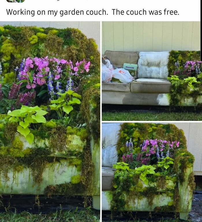 Couch transformed into a garden with moss and flowers growing on it, showcasing a unique but questionable craft project.