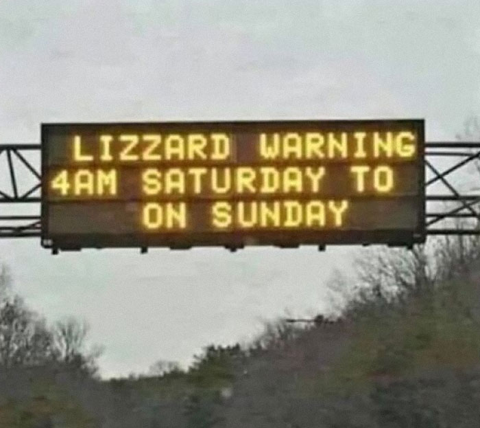 Electronic road sign with misspelled lizard warning causing hilarious chaos and confusion on the highway.