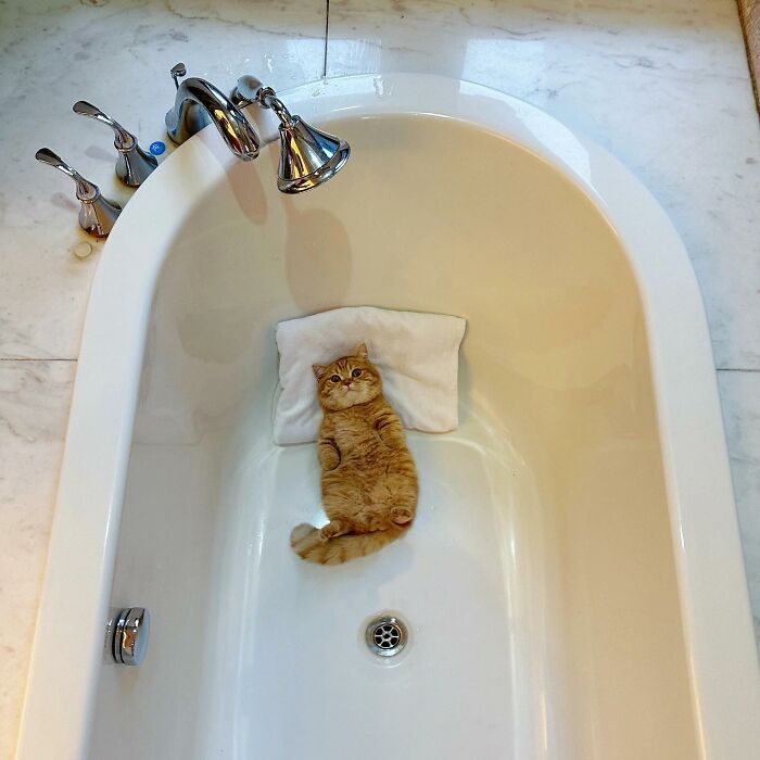 Orange cat lying on a white pillow in an empty bathtub, one of the adorable pet pics sure to melt your heart.