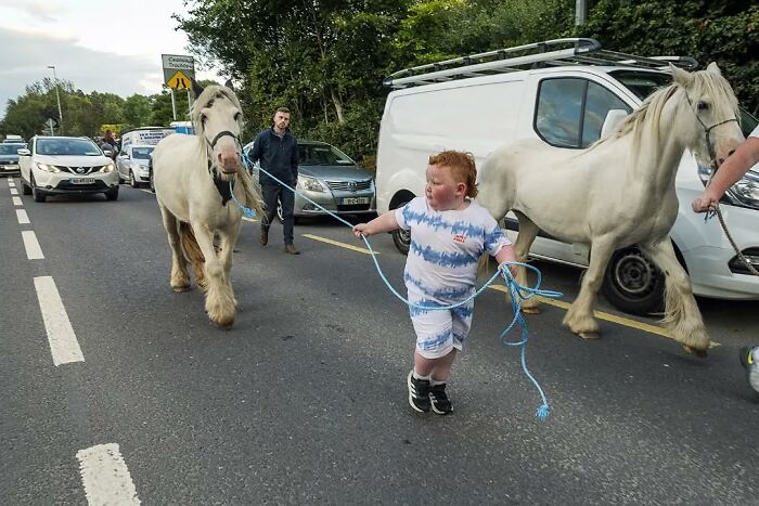 Child leading two white horses on a street, capturing raw and beautiful life on the margins of modern Ireland.