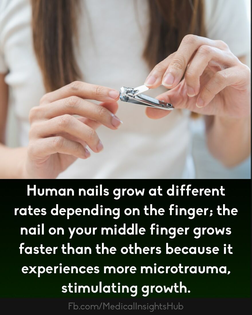 Person using nail clippers on fingernail, highlighting curious medical facts about fingers containing no muscles.