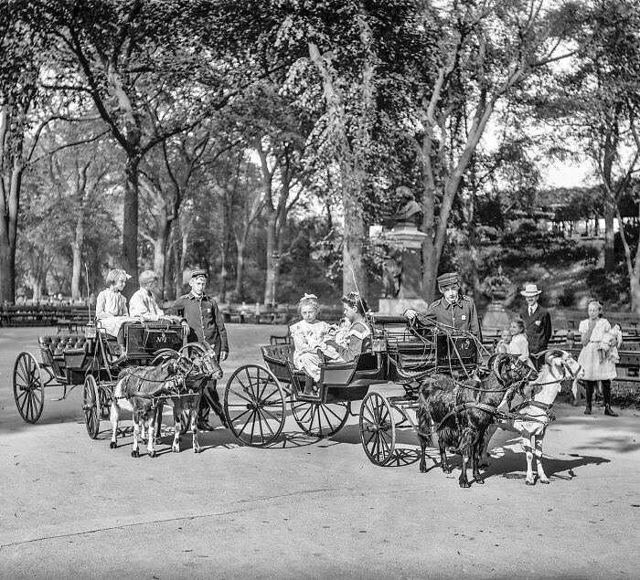 Colorized historical photo of children riding goat-drawn carriages in a park with attendants and onlookers around.