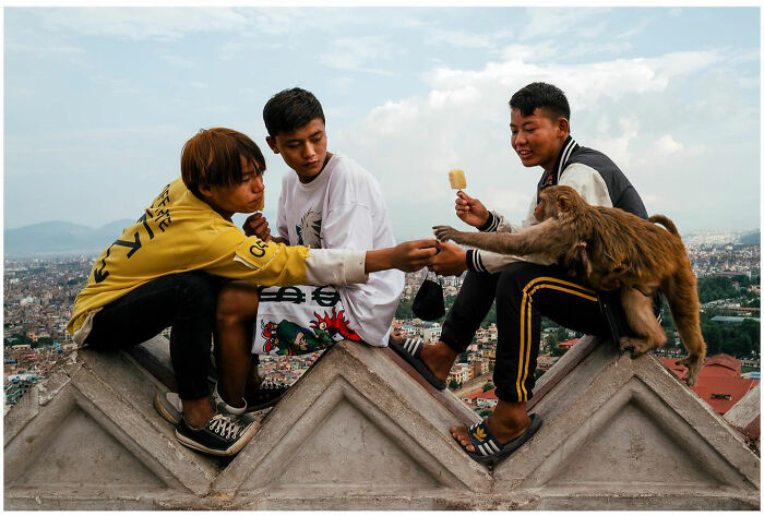 Three boys sharing food with a monkey on rooftop, capturing raw and captivating moments from the streets of Asia.