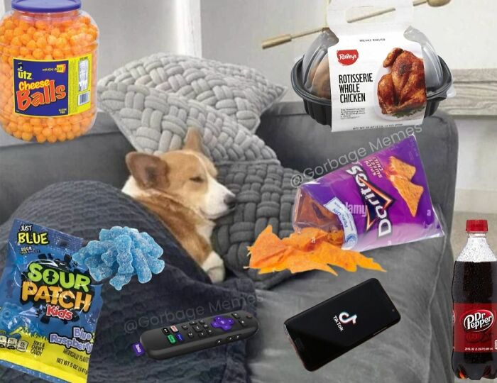 A dog lying on a couch with snacks and a remote, relatable meme about comfort and indulgence at home.