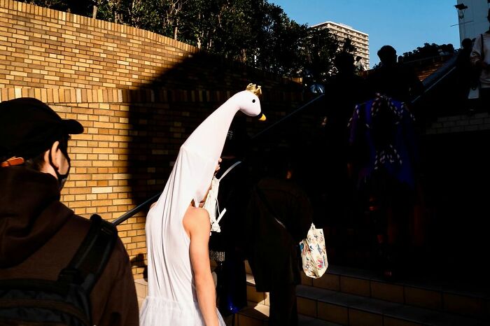 Street photographer captures a surprising moment of a person in a swan costume walking up sunlit stairs in the city.