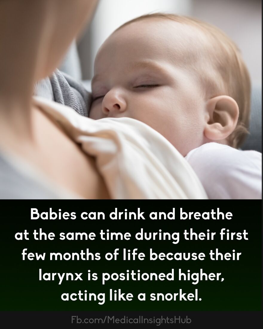 Sleeping baby being held close, illustrating curious medical facts about fingers contain no muscles and infant anatomy.