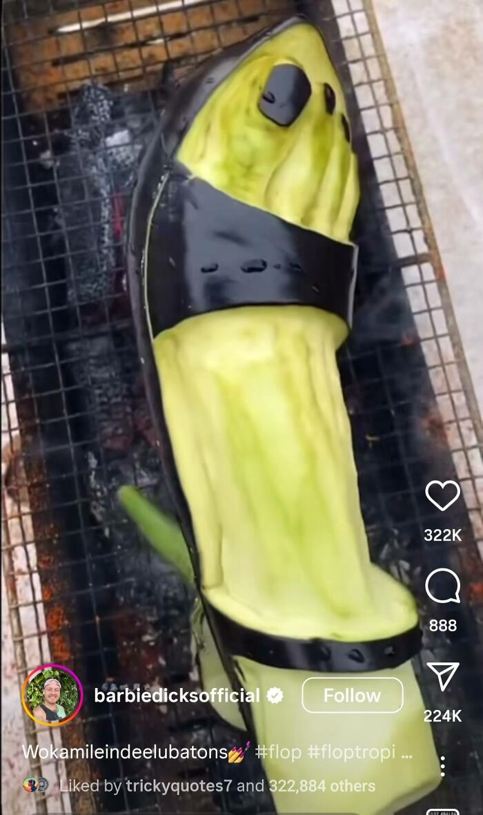 Grilled zucchini shaped like a sandal with black straps, an example of horrendous DIY craft shaming projects.
