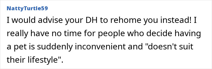 Commenter advising to refuse letting partner rehome cat due to inconvenience and lifestyle changes with pet ownership.