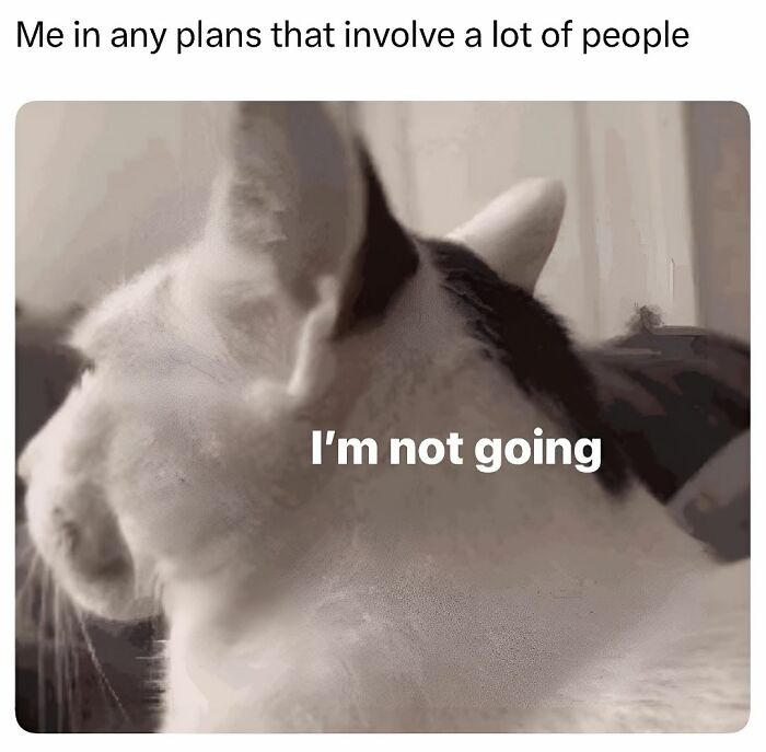 Cat turning away with text saying I'm not going, meme illustrating feeling overwhelmed in social situations for decompress memes.