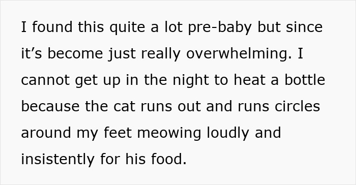 Text describing a cat running around feet meowing loudly and insistently, related to refusing to let rehome cat.