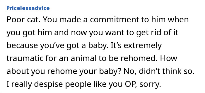 Text excerpt about refusing to let rehome cat, discussing the trauma animals face when being rehomed and commitment to pets.