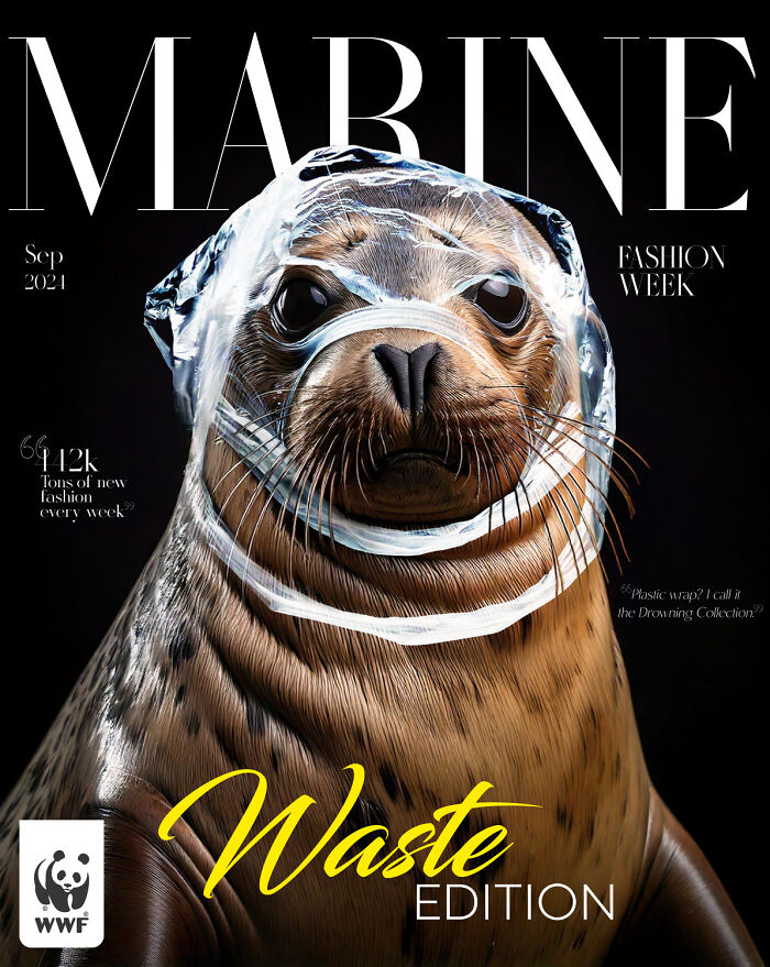 Seal trapped in plastic wrap around its head, highlighting powerful WWF ads about waste pollution impact.